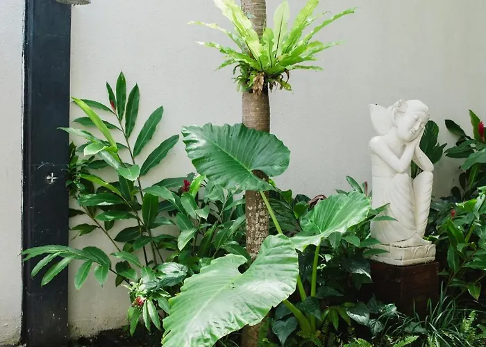 White Lotus Villa Seminyak