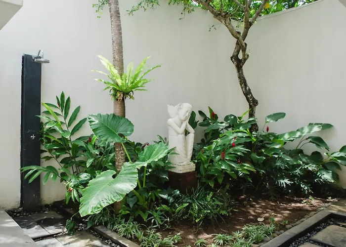 White Lotus * سمينياك