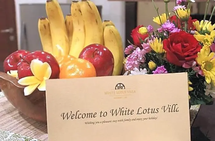 White Lotus ヴィラ *