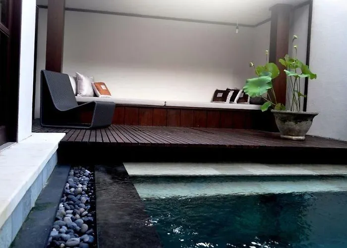 White Lotus *